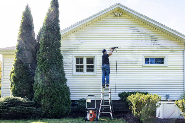 Best Roof Pressure Washing  in Broadview Park, FL